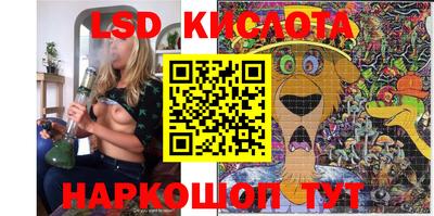 индика Вязники