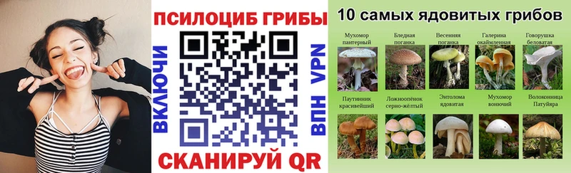 Галлюциногенные грибы ЛСД Борзя