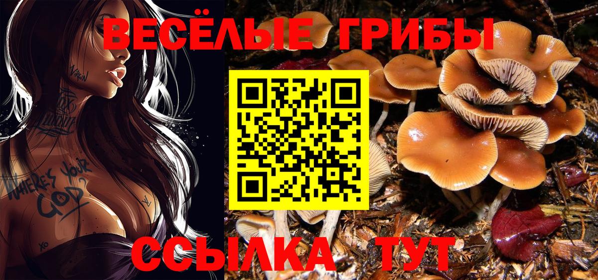 Мефедрон   ГАШ  Вейп ТГК  Вход с VPN  А ПВП СК кристаллы  Борзя  КОКАИН  Канабис 