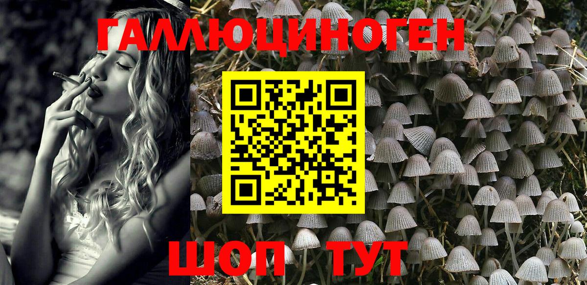 Галлюциногенные грибы Psilocybe Борзя