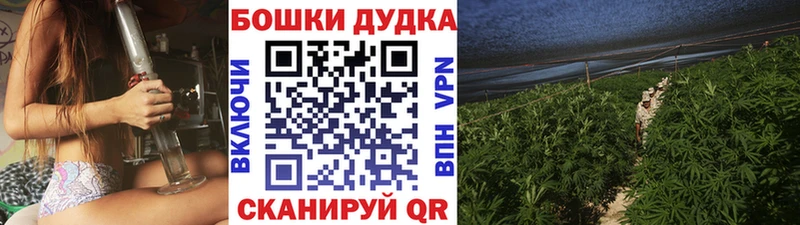 Бошки Шишки тримм  Борзя 